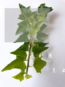 遇到股權(quán)轉(zhuǎn)讓糾紛怎么辦？
